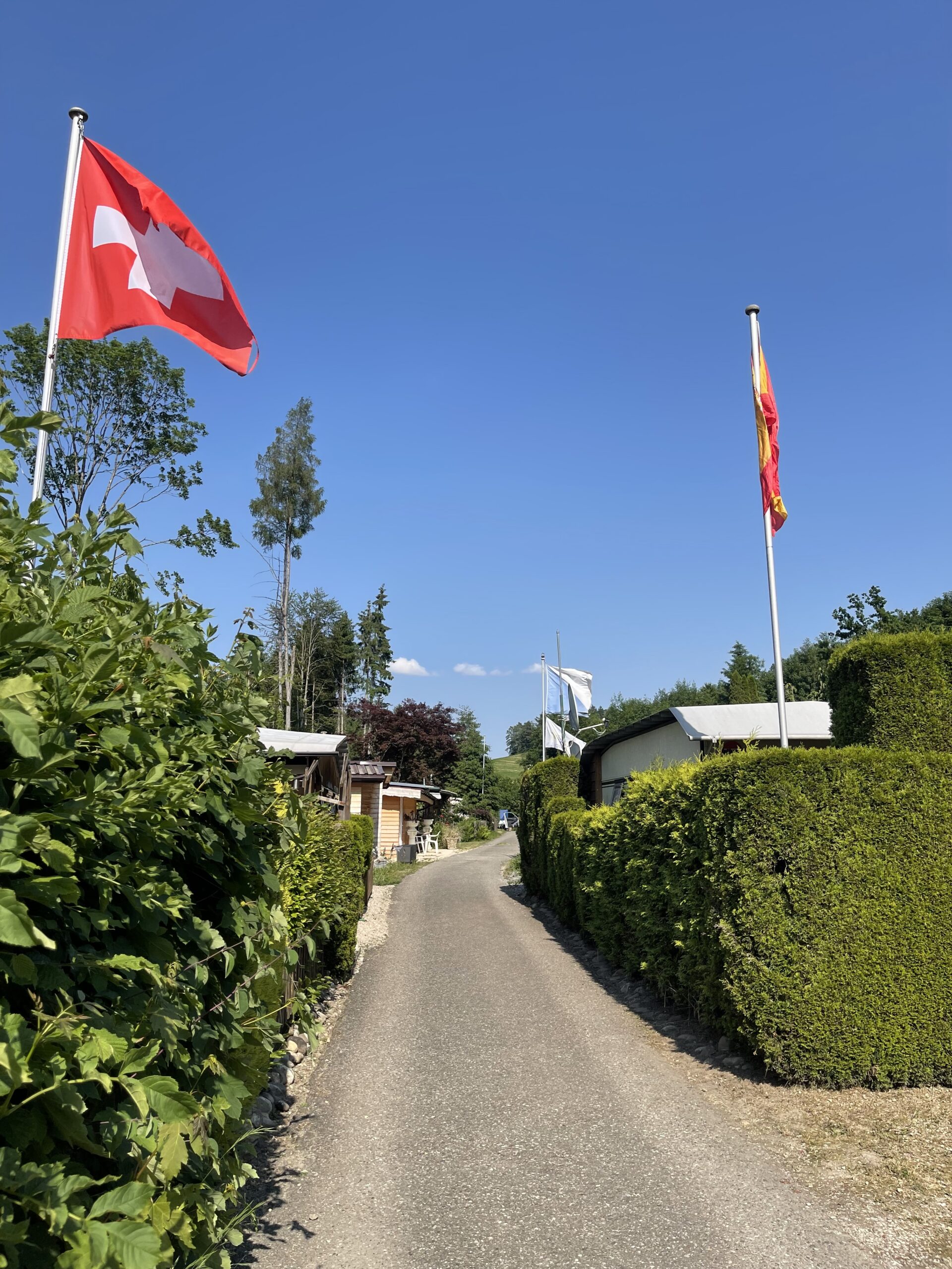 Zufahrt mit Schweizer Fahne
