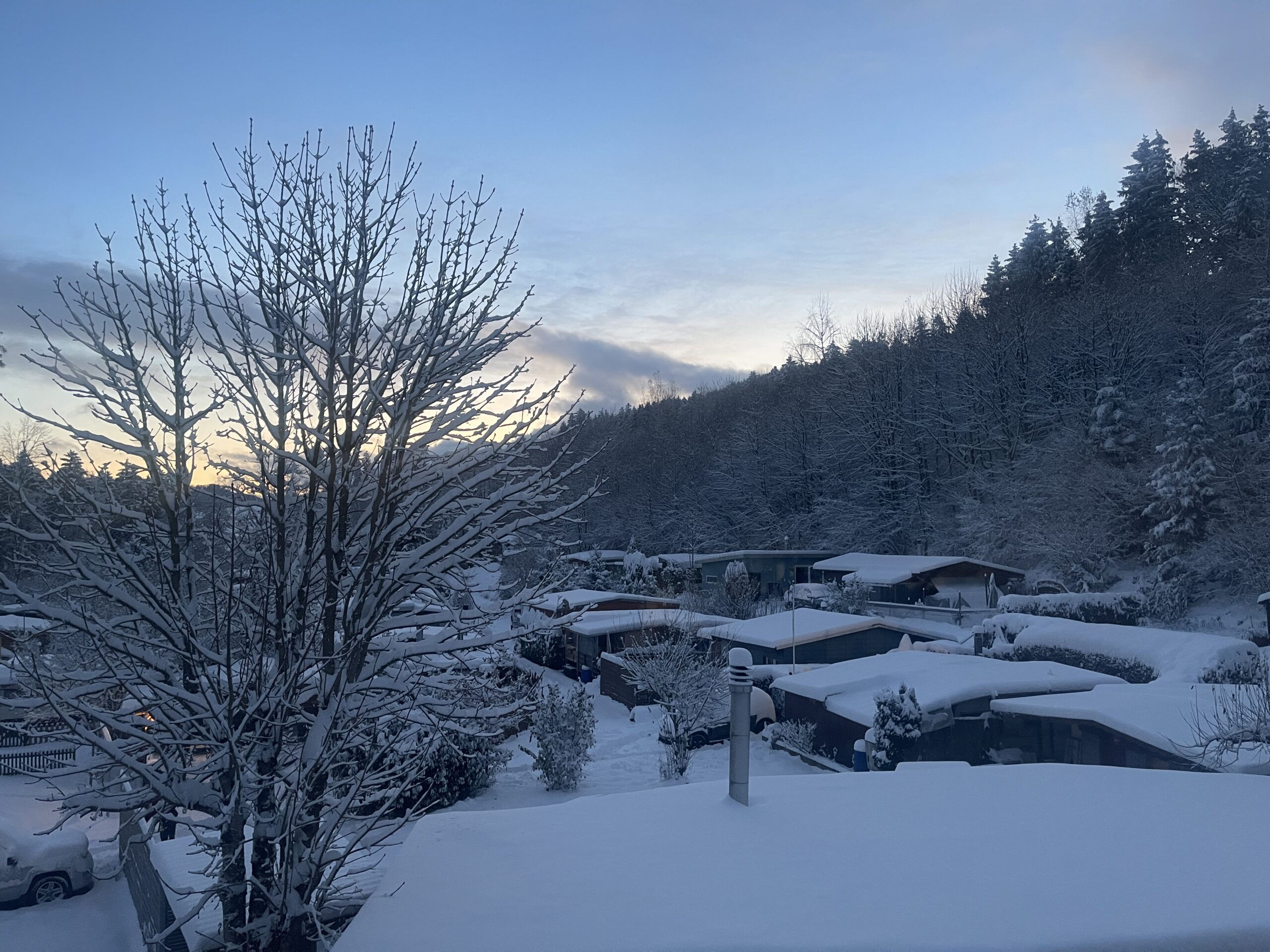 Wintermorgen auf dem Platz